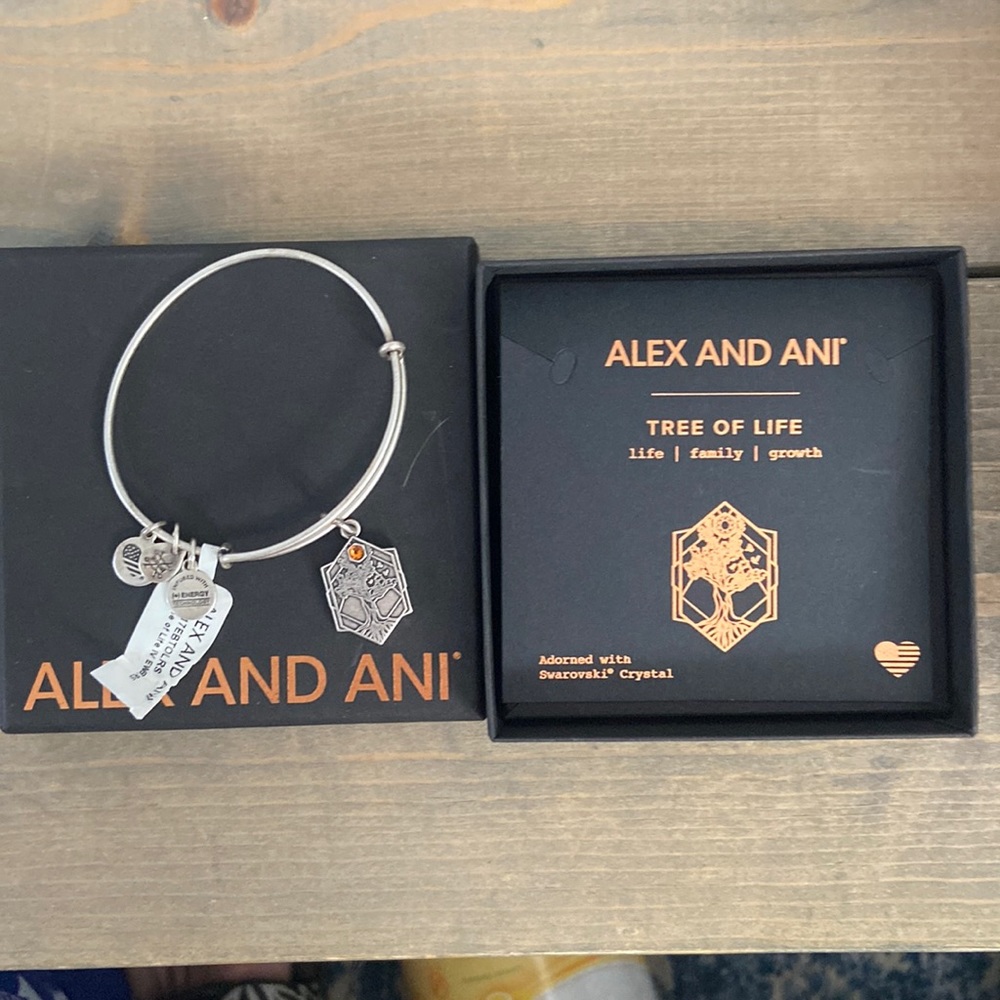 Alex and Ani Tree of life bracelet